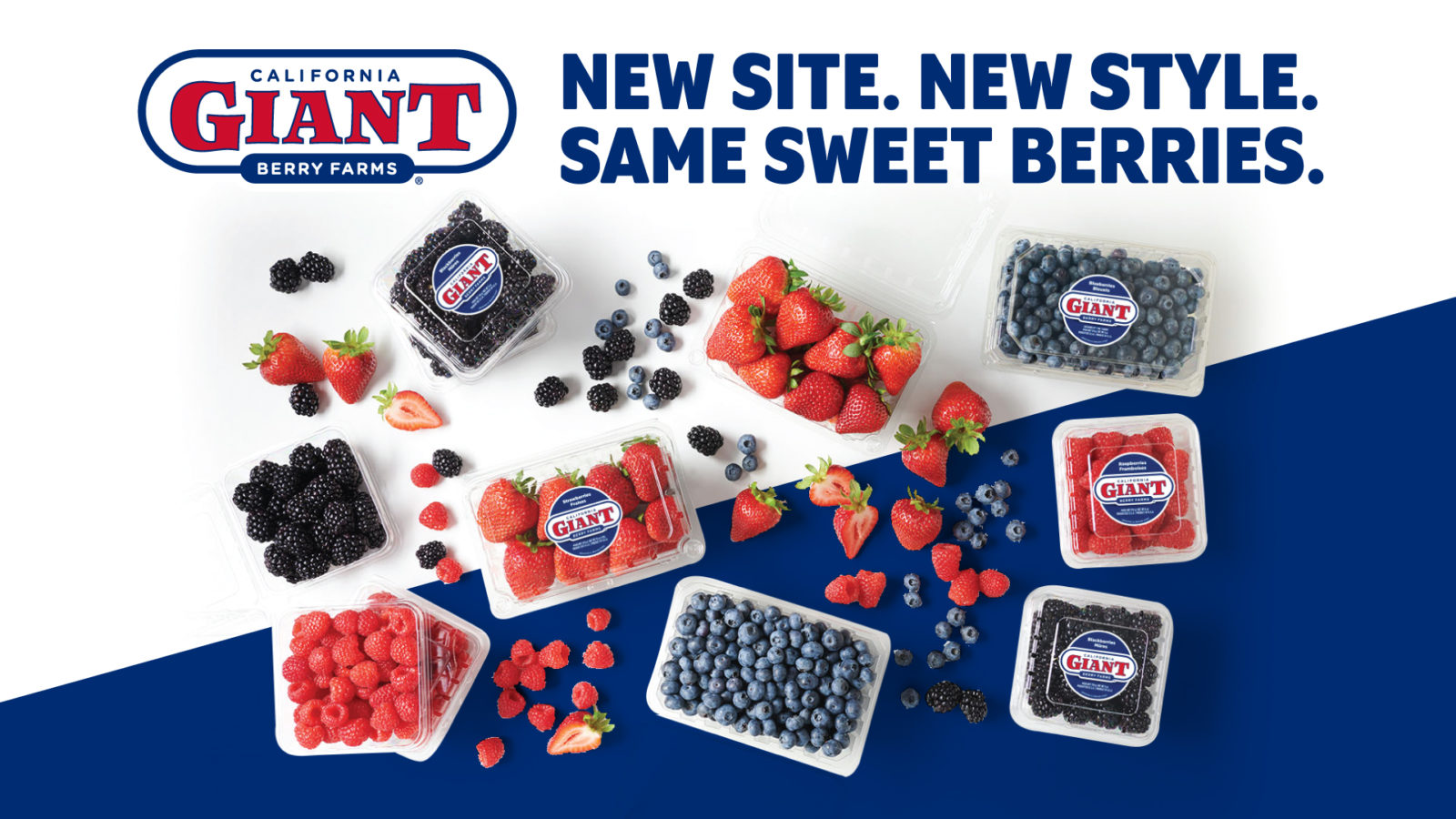 California Giant Berry Farms Launches New Consumer Website, Unveils New ...