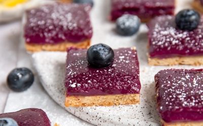 blueberry curd bars-2